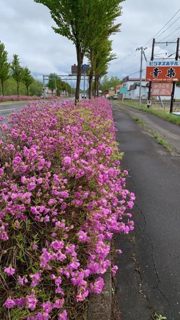 Abashiri - Hotel / Vacation Stay 16181 エクステリア 写真